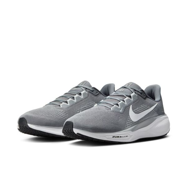 AIR ZOOM PEGASUS 41