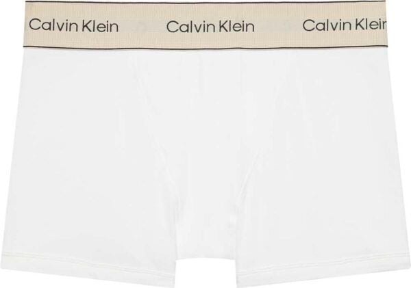 BOXER BRIEF