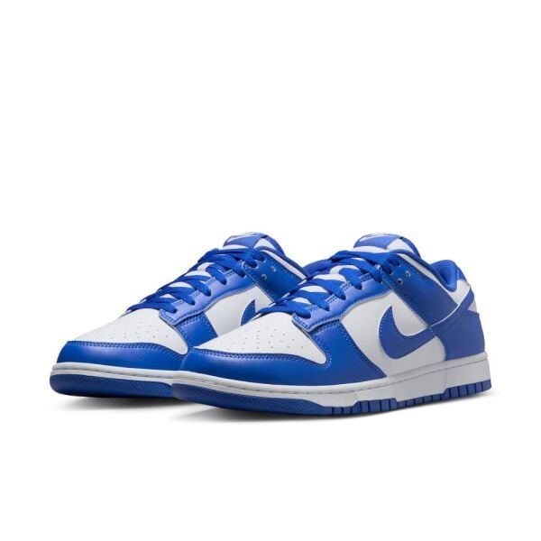 NIKE DUNK LOW RETRO