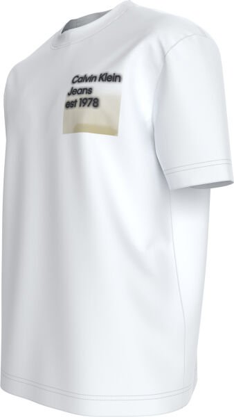 LOGO FADE BOX TEE