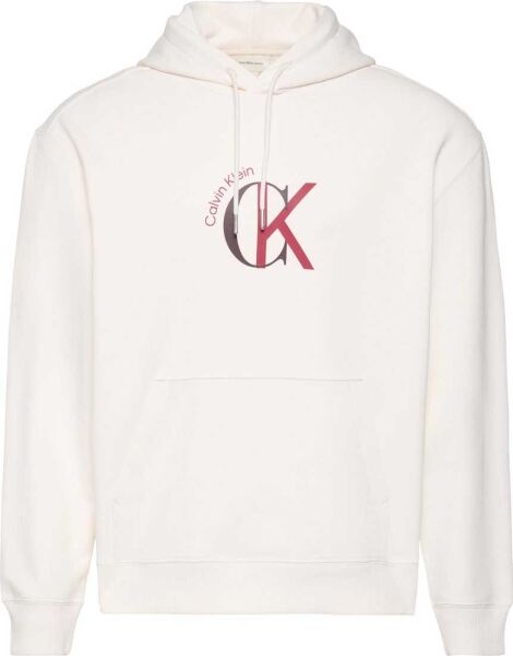 LS EU 350TERRY GRAPHIC HOODIE