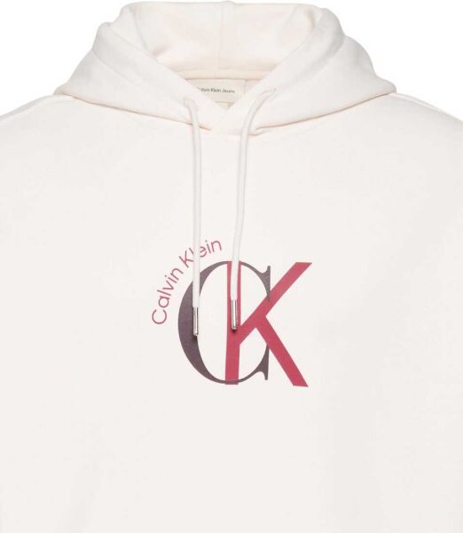 LS EU 350TERRY GRAPHIC HOODIE