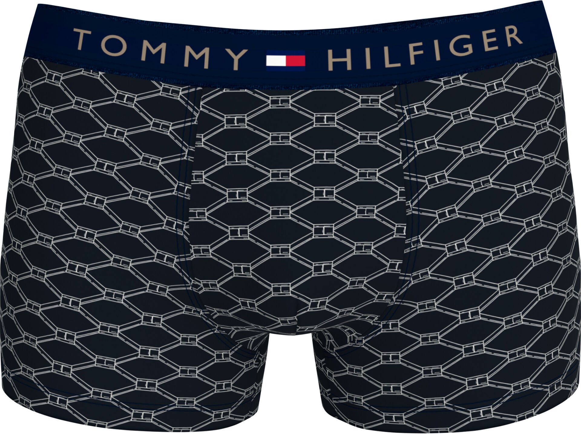 TRUNK PRINT CTN SILVER WB