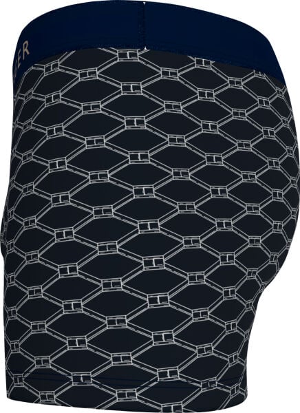 TRUNK PRINT CTN SILVER WB