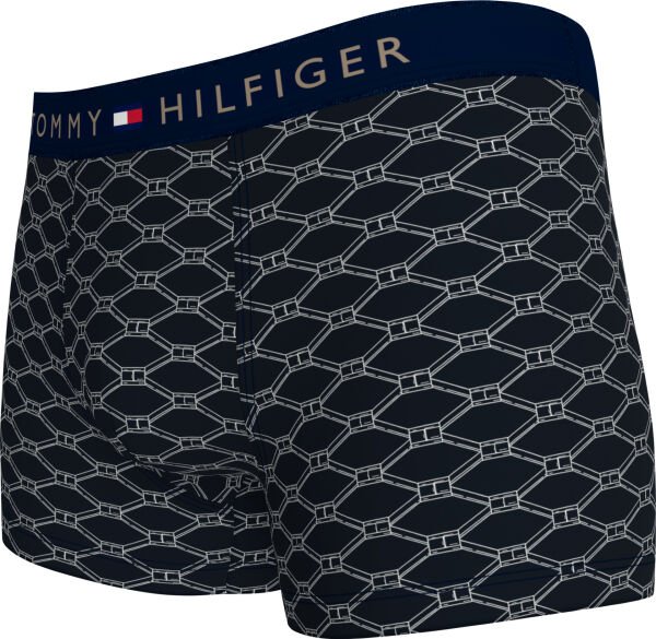 TRUNK PRINT CTN SILVER WB