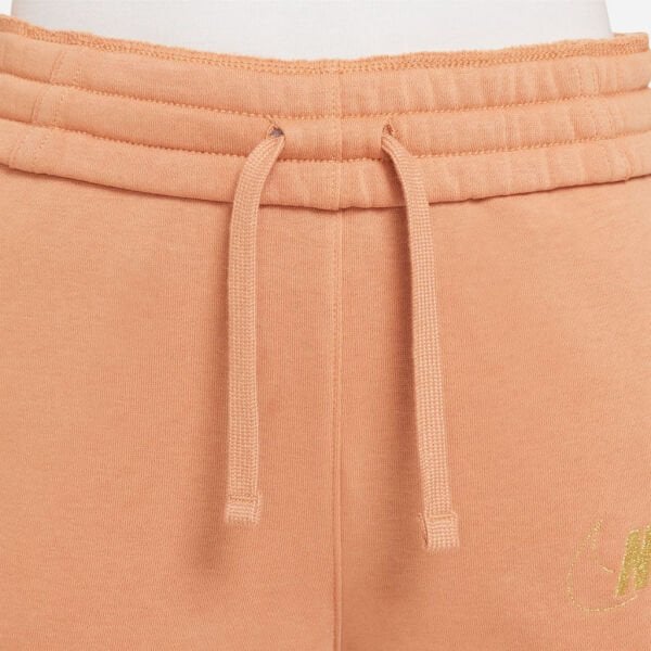 G NSW CLUB FLC HR PNT SHNE