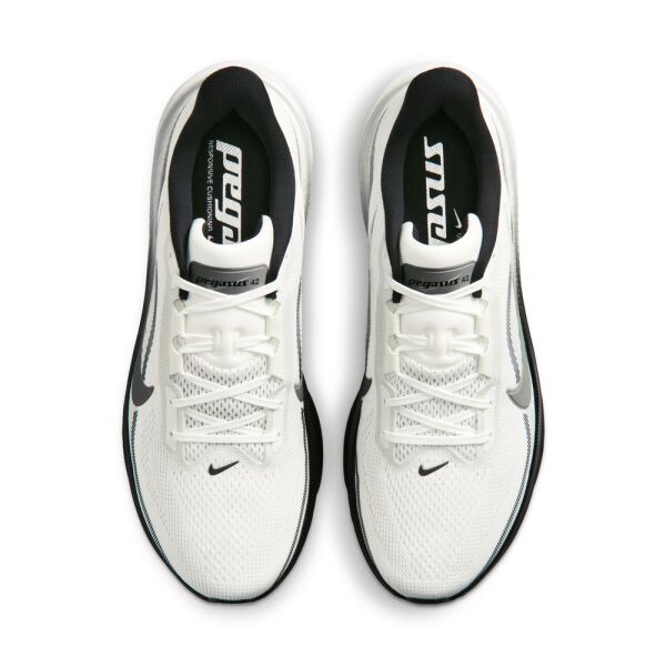 AIR ZOOM PEGASUS 42 RR
