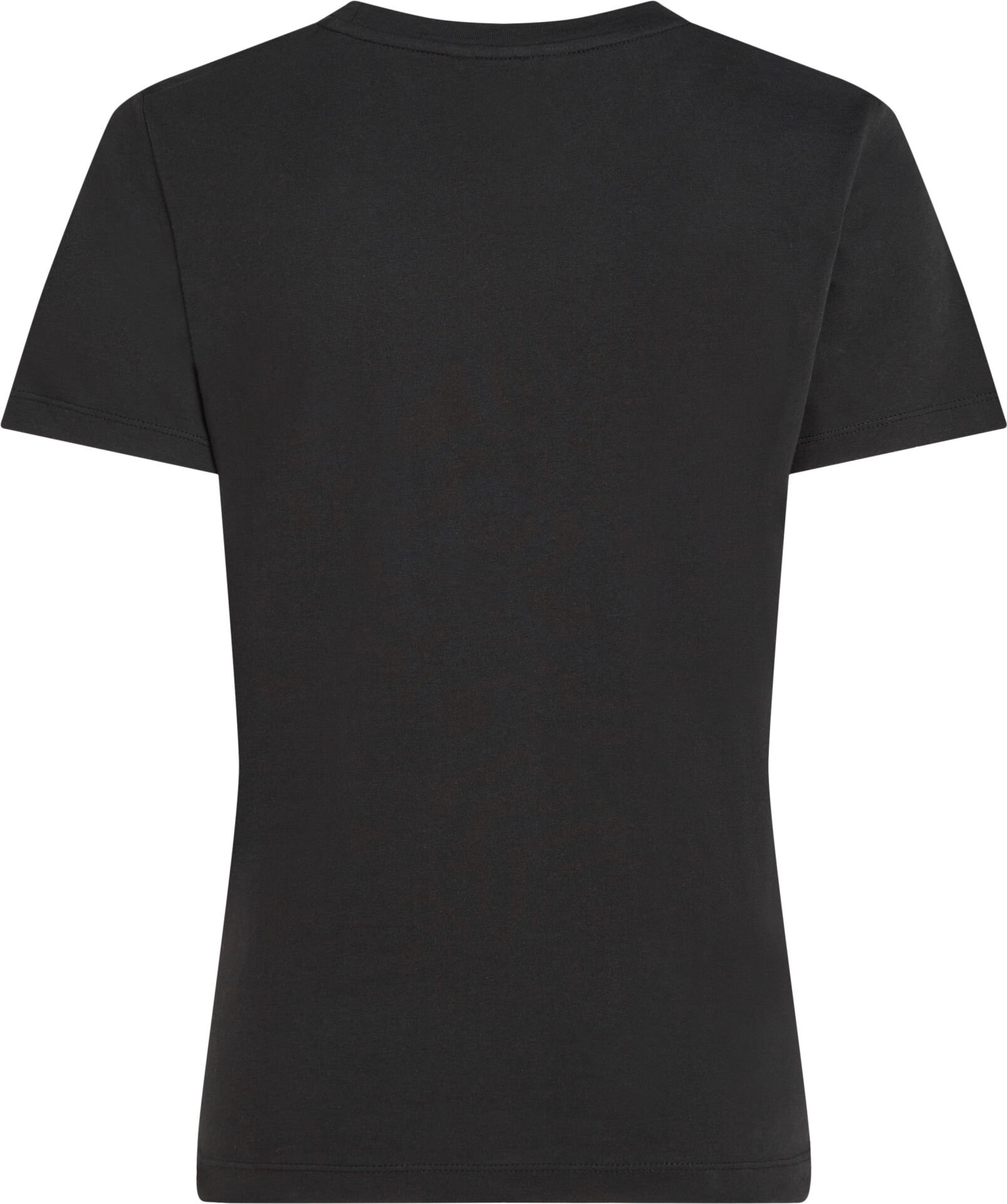 REG CORP LOGO C-NK SS