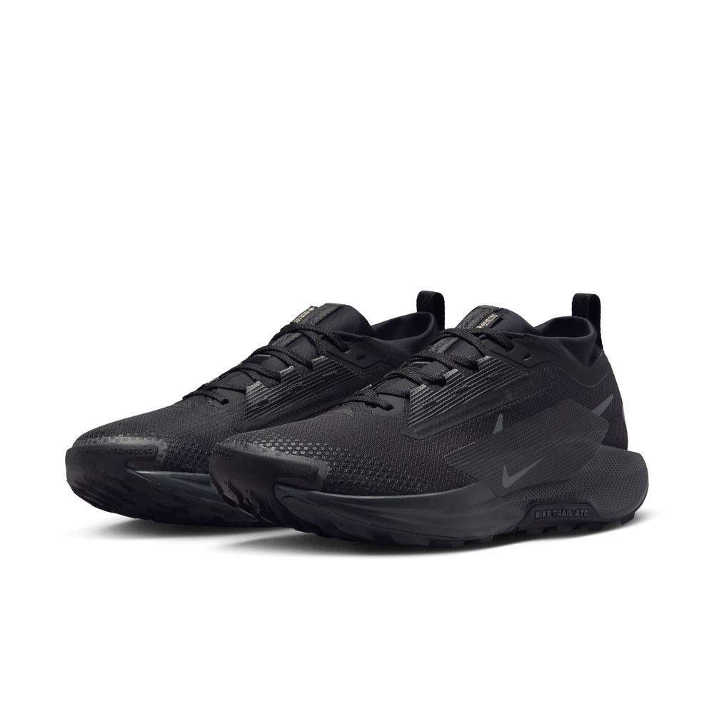 NIKE PEGASUS TRAIL 5 GTX