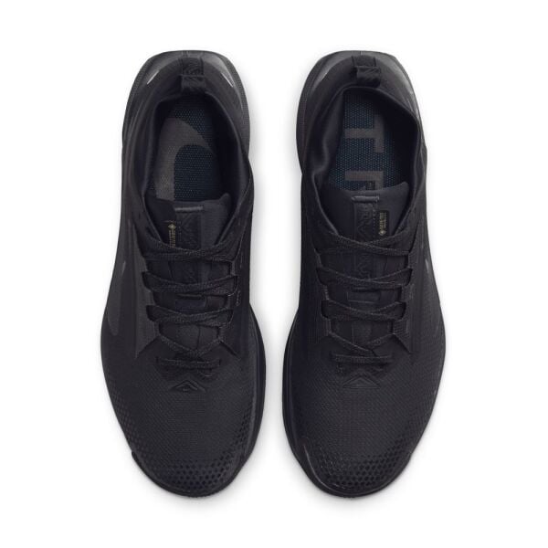 NIKE PEGASUS TRAIL 5 GTX