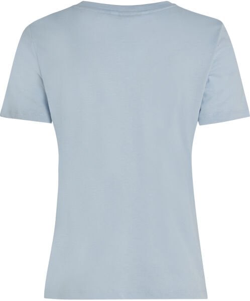 REG CORP LOGO C-NK SS