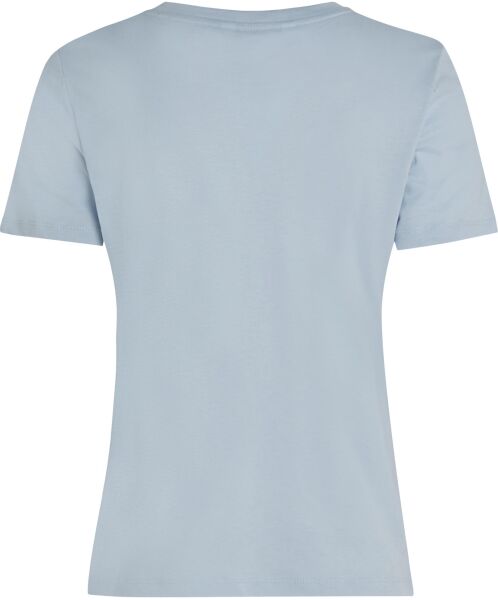 REG CORP LOGO C-NK SS