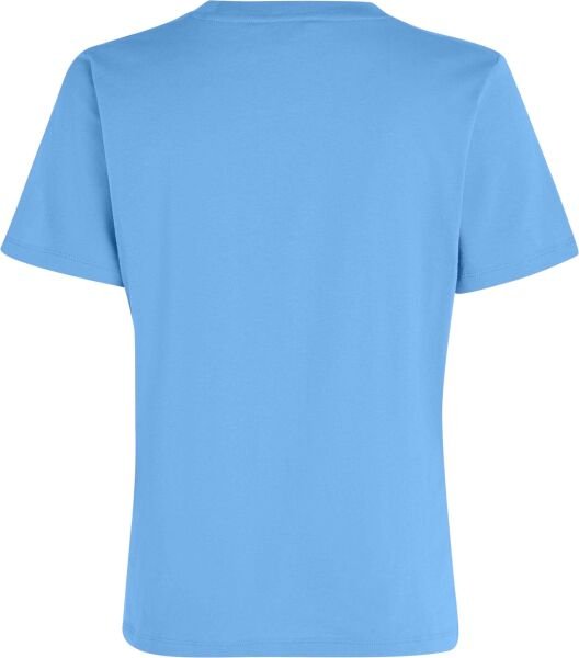 REG CORP LOGO C-NK SS