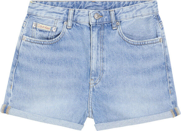 90s DENIM SHORT