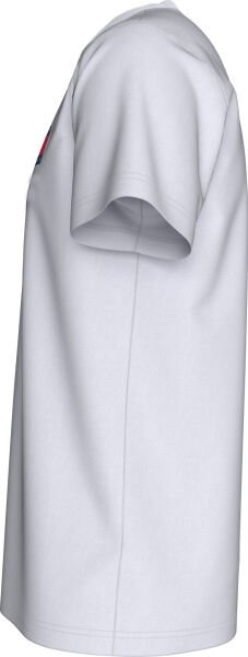 TJM SLIM ESSENTIAL FLAG TEE EX