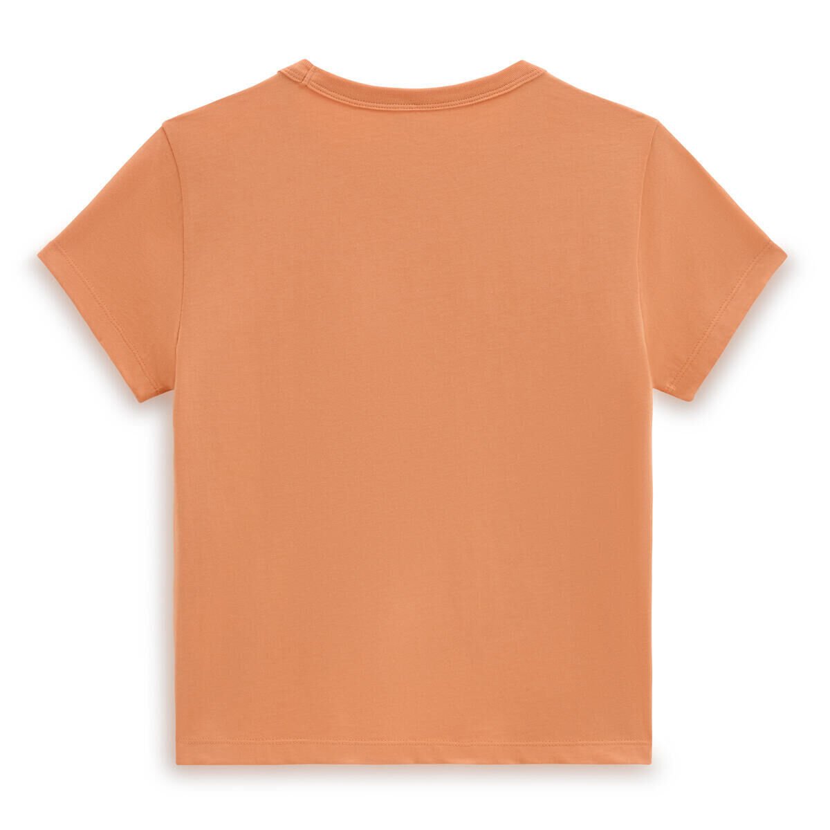BASIC MINI SS