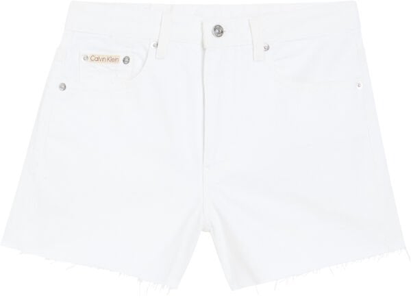 90s DENIM SHORT