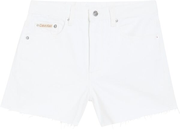 90s DENIM SHORT