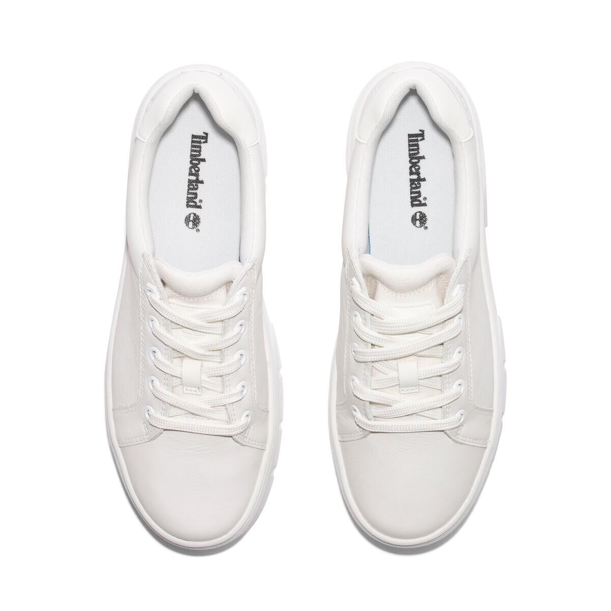 LOW LACE UP SNEAKER