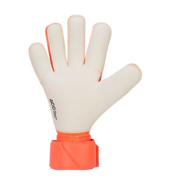 NK GK VG3 - HO24