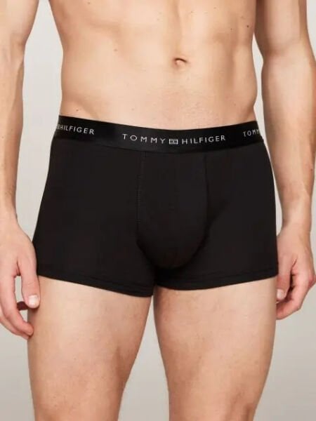 3P TRUNK METALLIC WB