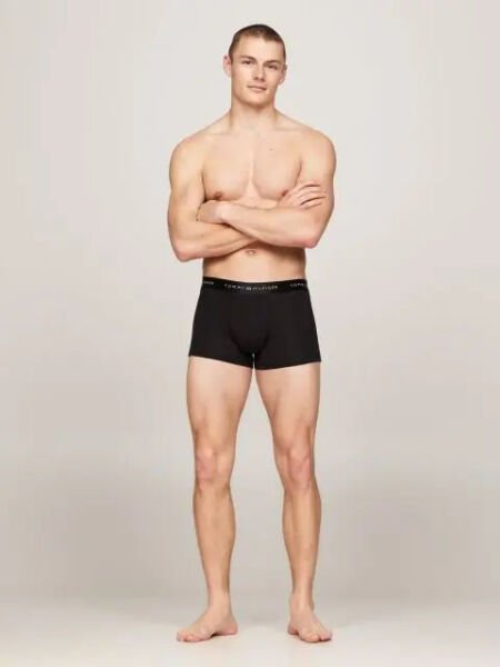 3P TRUNK METALLIC WB