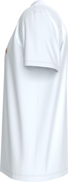 SS BADGE 30S JERSEY CLASSIC TE