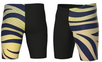 MENS ARENA MULTI STRIPES SWIM JAMMER
