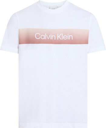 LINEAR OMBRE CHEST LOGO T-SHIR
