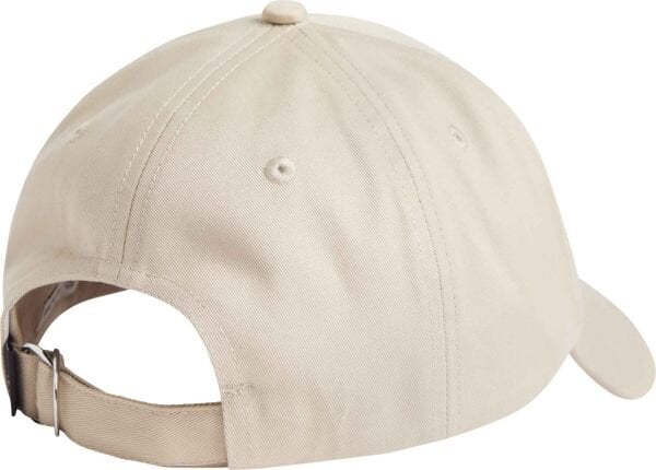 INSTITUTIONAL CAP