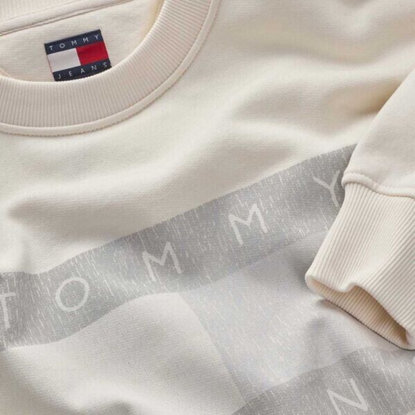 TJM 90S DISTRESSED FLAG CREW