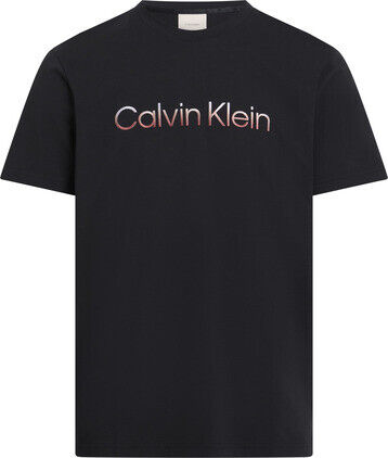 RAISED OMBRE EMBROIDERY T-SHIR