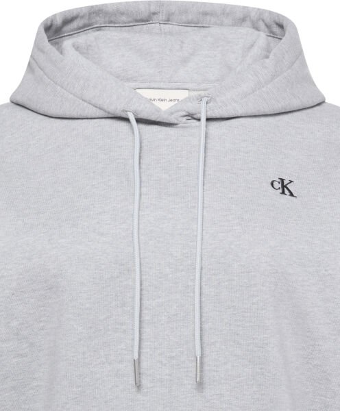 LS ARCHIVE TERRY PO HOOD