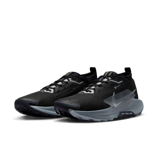 NIKE PEGASUS TRAIL 5 GTX