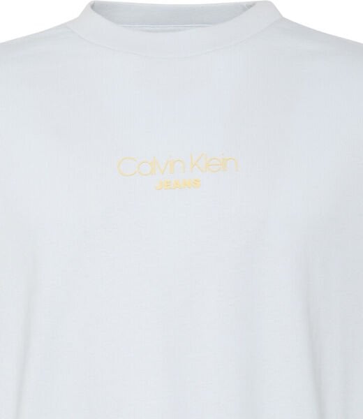 SS 16S RLXD FIT CKJ GRAPHIC TE