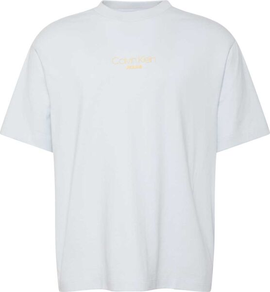 SS 16S RLXD FIT CKJ GRAPHIC TE