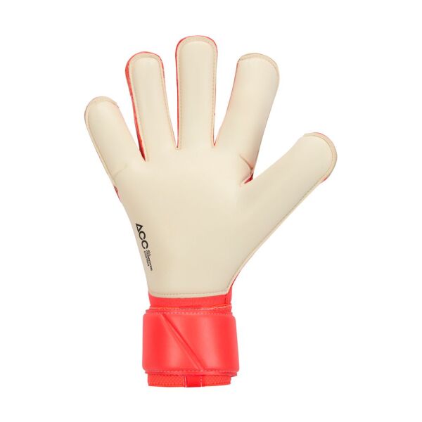 NK GK VG3 - HO24
