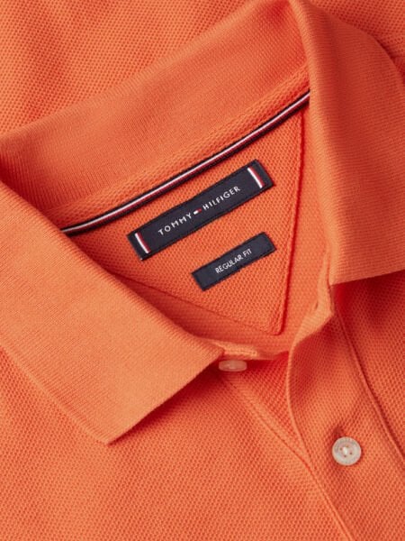 TH SCRIPT REG POLO