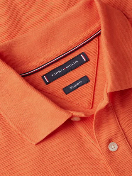 TH SCRIPT REG POLO