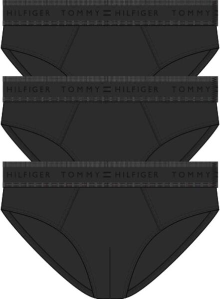 3P BRIEF