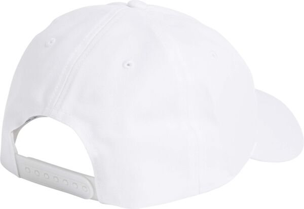 INSTITUTIONAL CAP