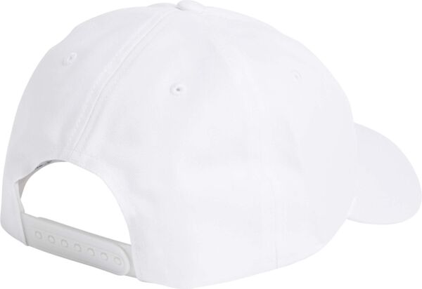 INSTITUTIONAL CAP