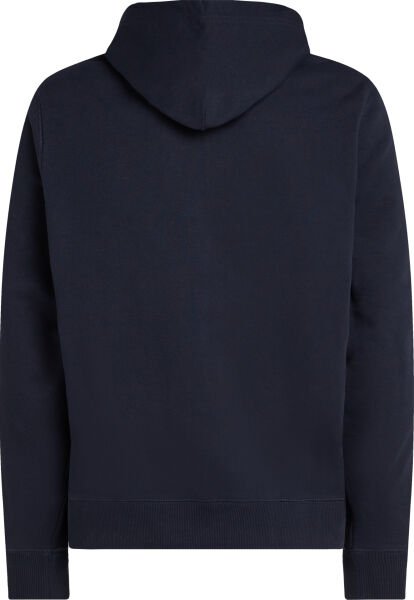 GLOBAL STRIPEA HOODY