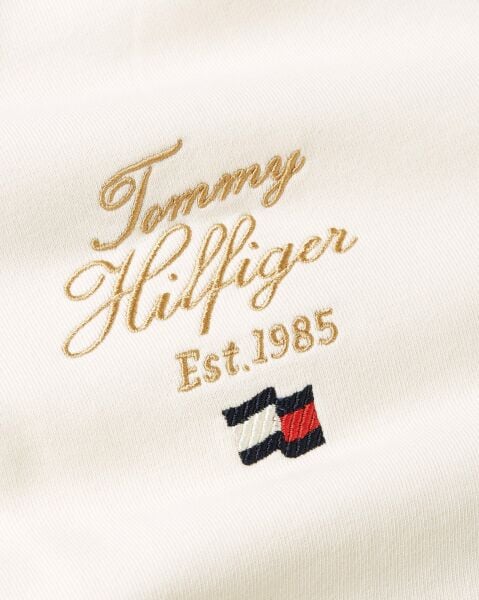 SCRIPT HILFIGER STACK HOODY