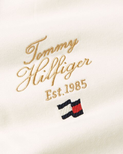 SCRIPT HILFIGER STACK HOODY