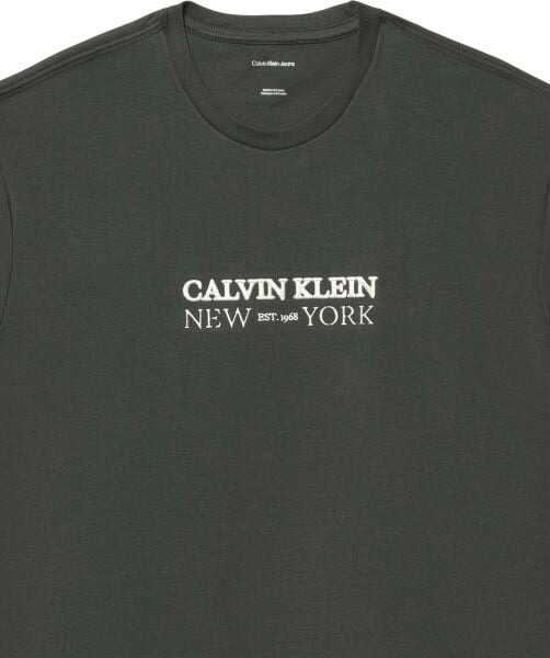 SS 20S WHSL SP CKLEIN NY GRAPH