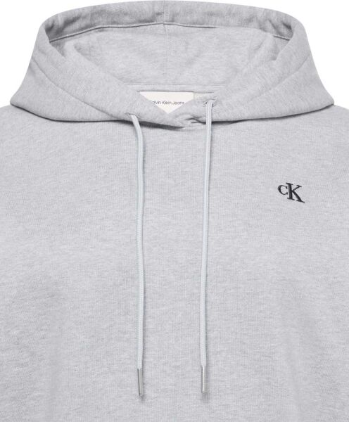 LS ARCHIVE TERRY PO HOOD