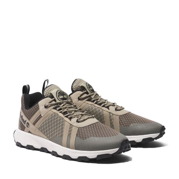 LOW LACE UP SNEAKER
