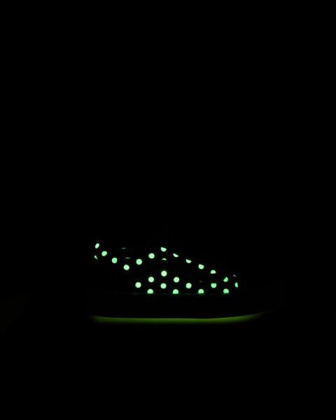 Old Skool V