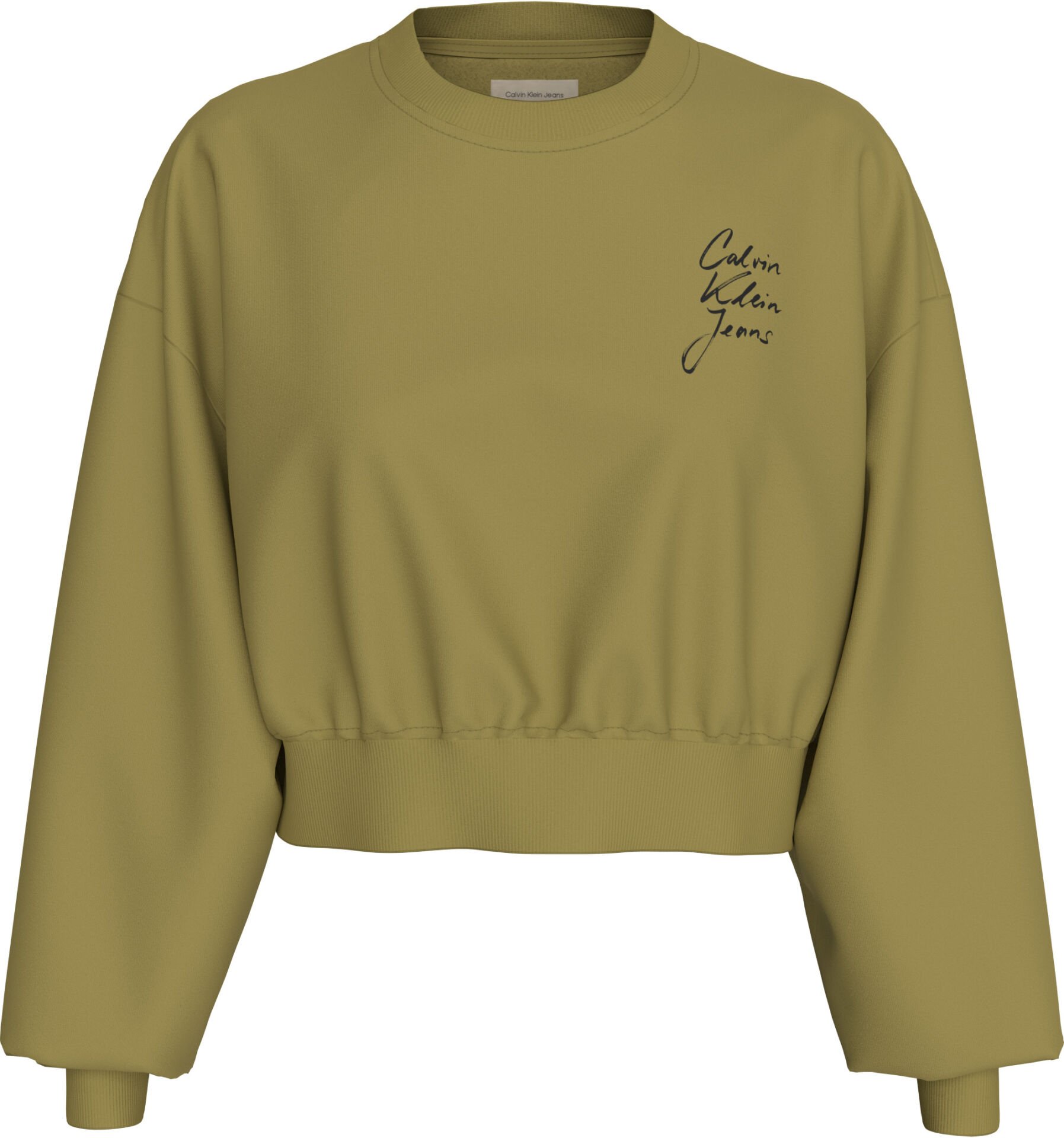 SCRIPT INSTITUTIONAL CREWNECK